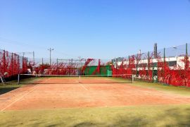 Winobluszcz pięciolistkowy oplatający ogrodzenie kortu tenisowego (jesień)